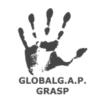 GRASP