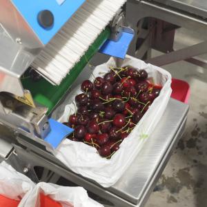 cherry
